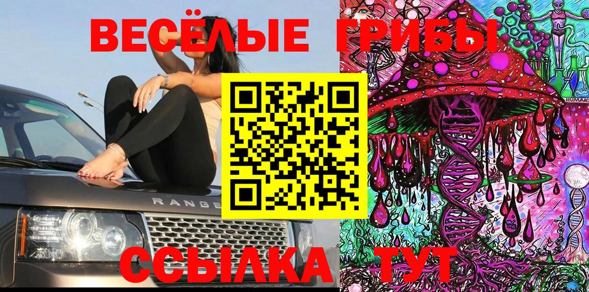Псилоцибиновые грибы Magic Shrooms  Галлюциногенные грибы мухоморы  Нижнеудинск  Вход с VPN 