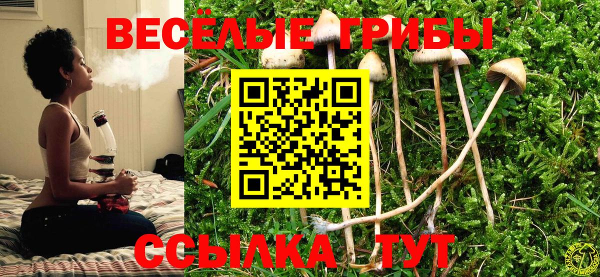 Галлюциногенные грибы Magic Shrooms Нижнеудинск